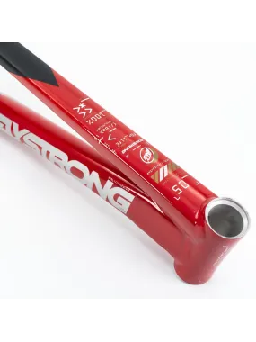 Stay Strong V5 Disc Only Frame 2025 Red/Black